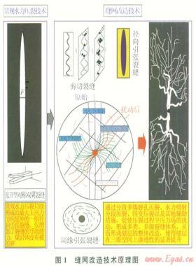 圍巖—煤儲層縫網改造增透抽采瓦斯理論與技術