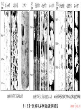 塔里木盆地輪古東地區(qū)奧陶系古溶洞的成像測(cè)井預(yù)測(cè)