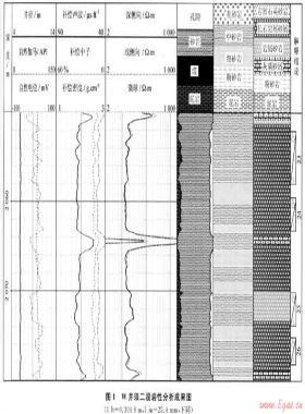 川渝油氣田碎屑巖儲(chǔ)層測井解釋及流體識(shí)別