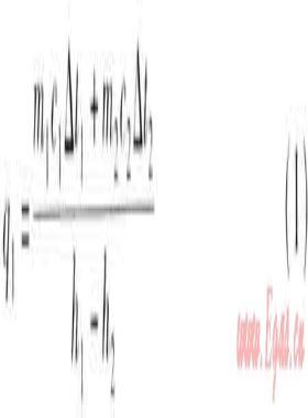 不同工況下蒸汽疏水器排水量計算與選型