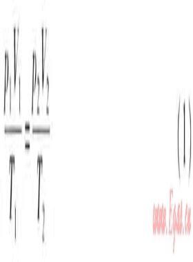 膜式燃?xì)獗淼臏囟葔毫ρa(bǔ)償