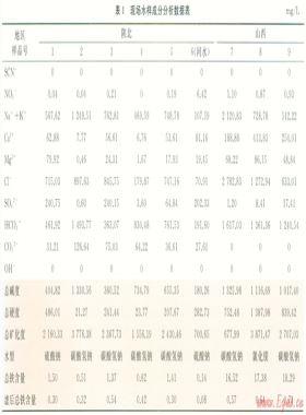 基于示蹤劑的煤層氣井分層產能測試技術