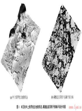 阿姆河右岸區(qū)塊生物礁特征與識別方法