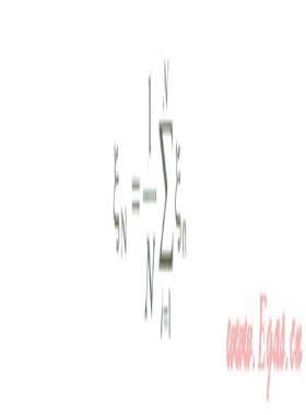 基于蒙特卡洛模擬的IT項目進度風(fēng)險量化評估方法研究