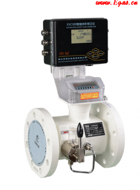 蒼南儀表LWQ氣體渦輪流量計(jì)+EVC300樣本下載